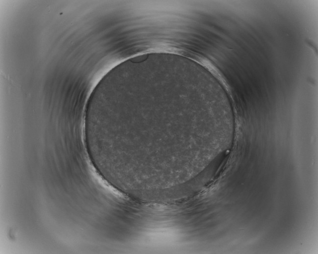 X0000102230955200808221305