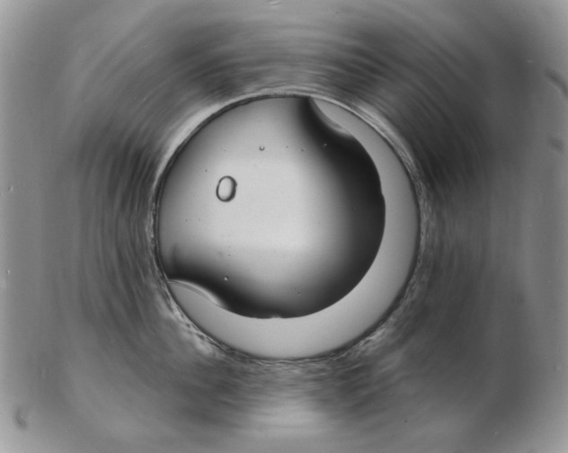 X0000102230956200808221305