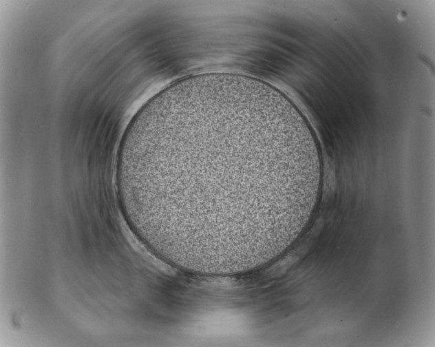 X0000102230957200808221305