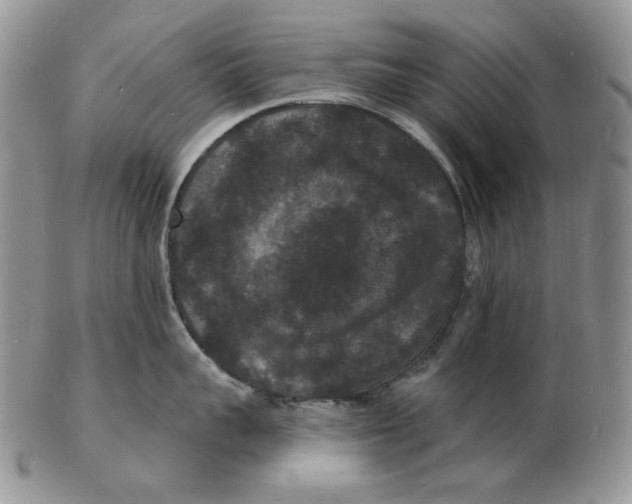 X0000102230959200808221305