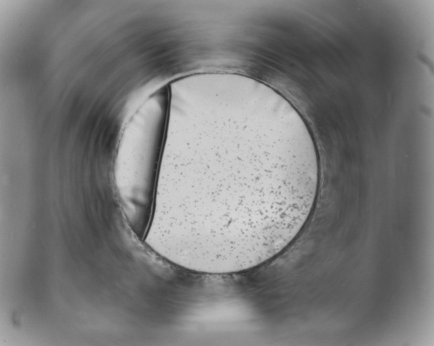 X0000102230960200808221305
