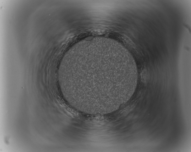 X0000102230961200808221304
