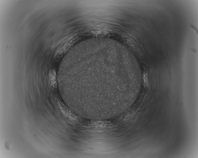 X0000102230963200808221304