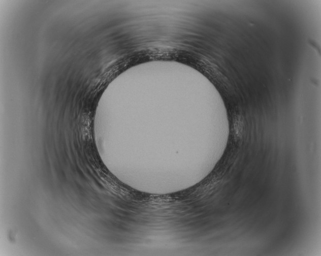 X0000102230964200808221304