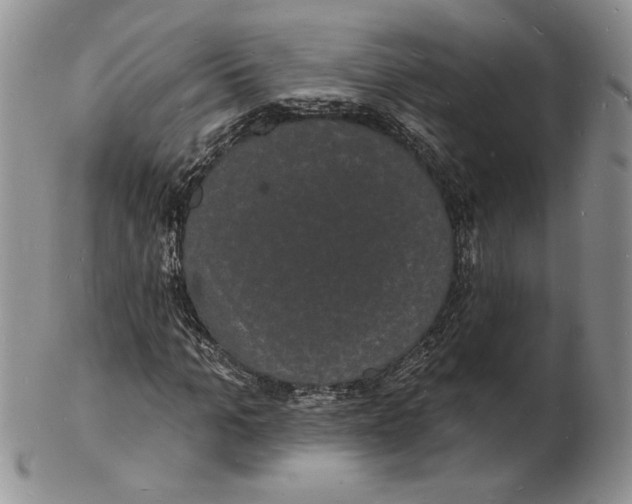 X0000102230965200808221304