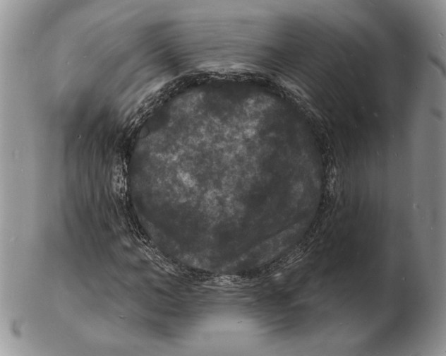 X0000102230966200808221304