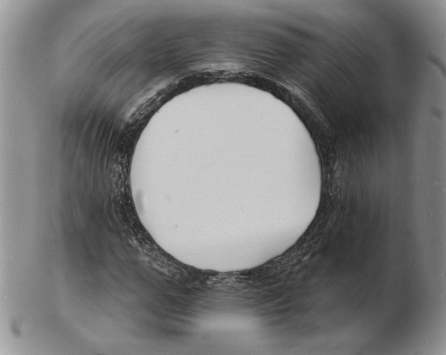 X0000102230967200808221304