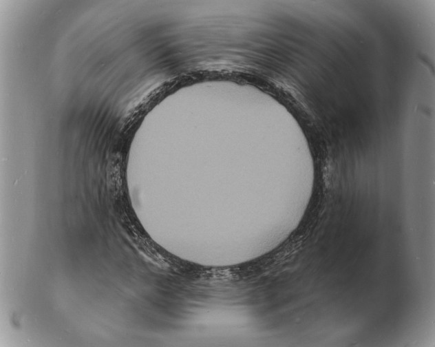 X0000102230968200808221304