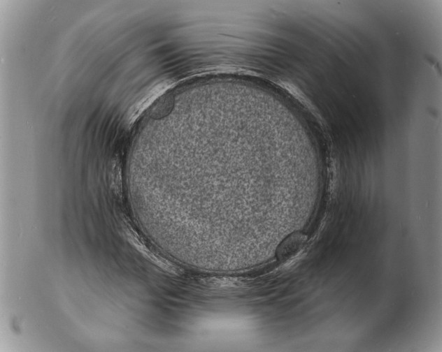 X0000102230969200808221304