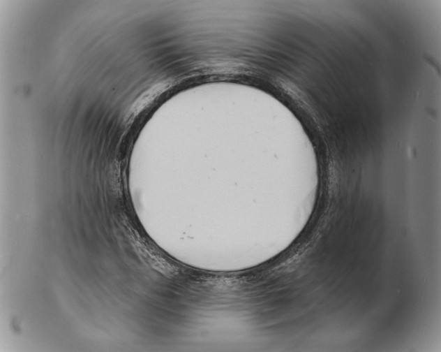 X0000102230970200808221304