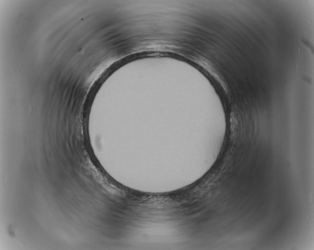 X0000102230972200808221304
