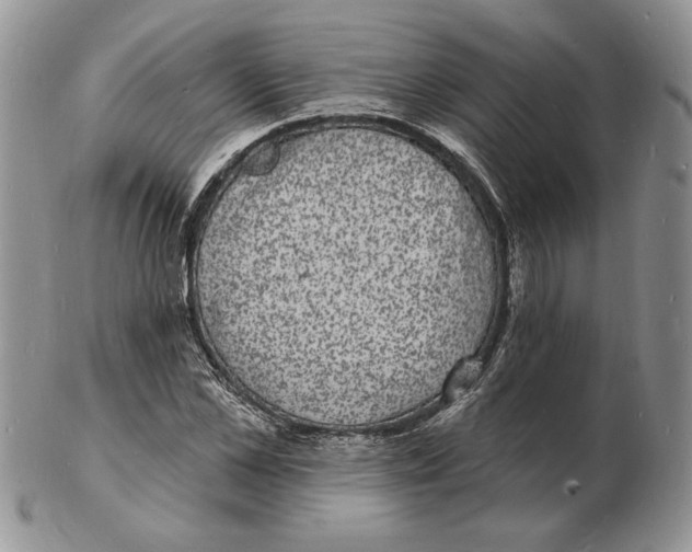 X0000102230973200808221304