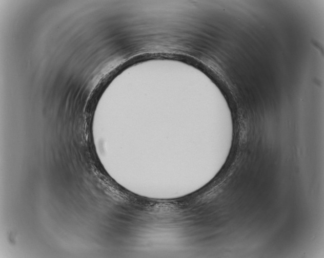X0000102230974200808221304