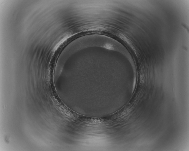 X0000102230975200808221304