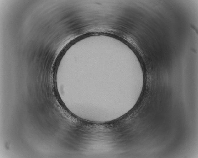 X0000102230976200808221304