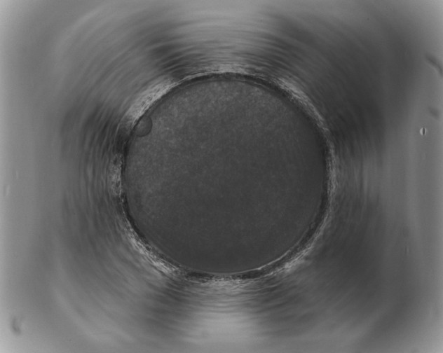 X0000102230977200808221304