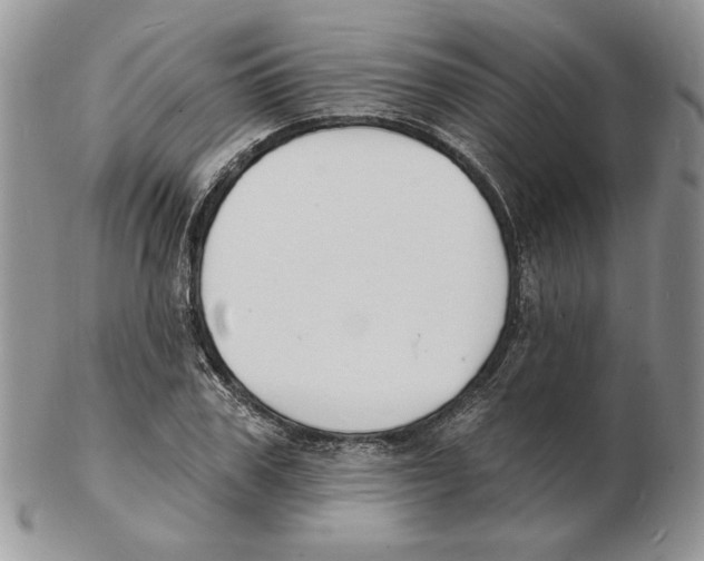 X0000102230979200808221304