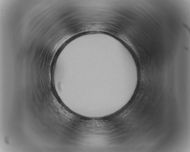 X0000102230980200808221304