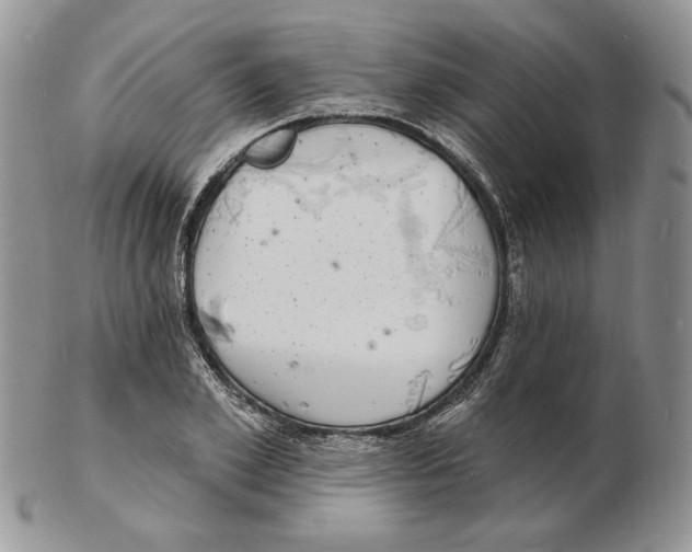 X0000102230981200808221304