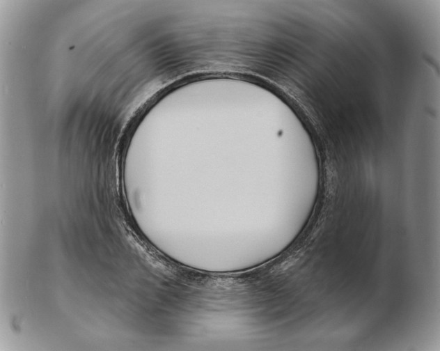 X0000102230982200808221304