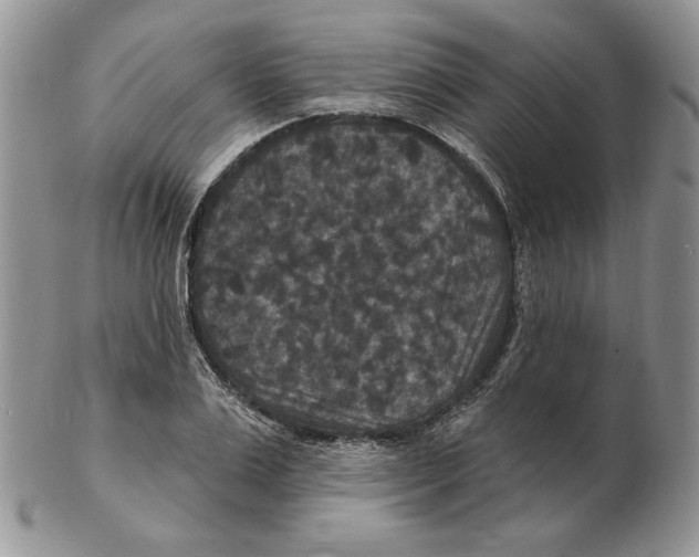 X0000102230983200808221304