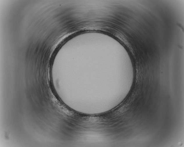 X0000102230984200808221304