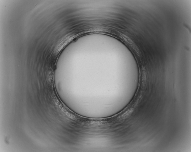 X0000102230985200808221304