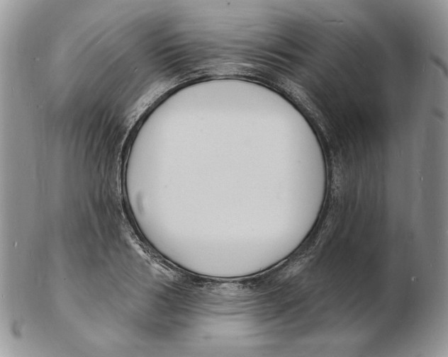 X0000102230986200808221304