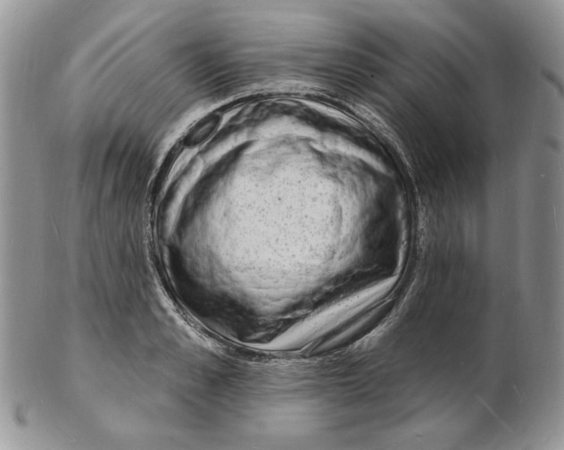 X0000102230989200808221304
