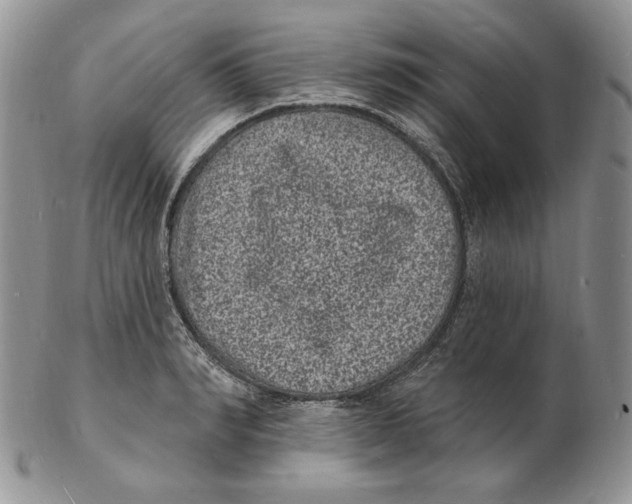 X0000102230990200808221304