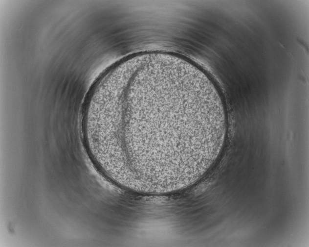 X0000102230991200808221304