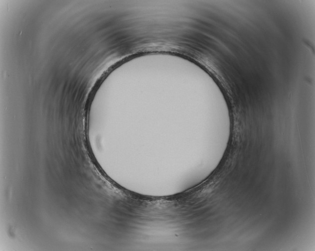 X0000102230992200808221304