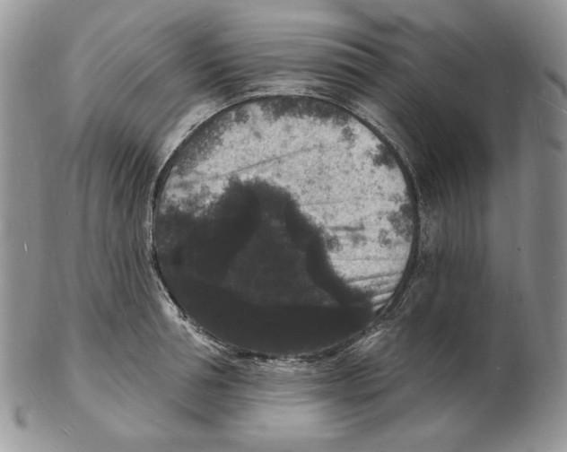 X0000102230994200808221304