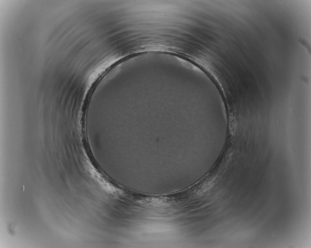 X0000102230995200808221304