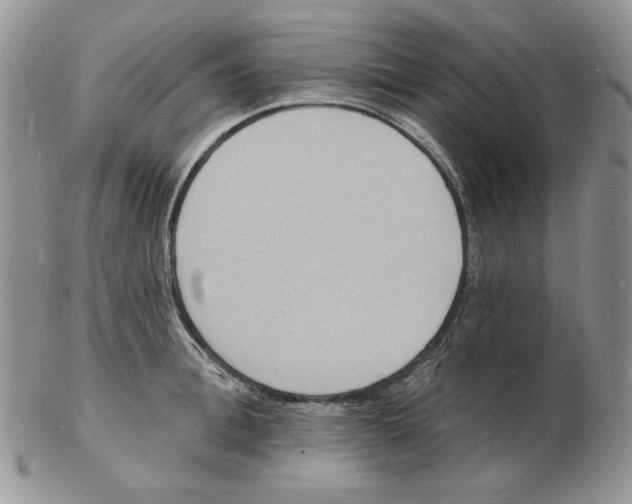 X0000102230996200808221304