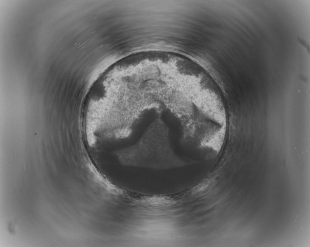 X0000102230998200808221304