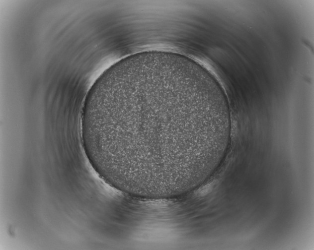 X0000102230999200808221304