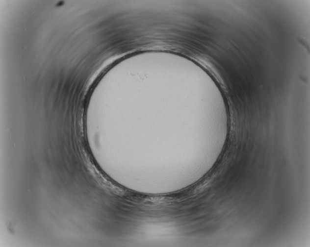 X0000102231000200808221304