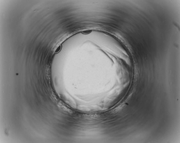 X0000102231001200808221304