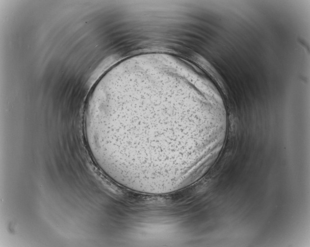 X0000102231002200808221304