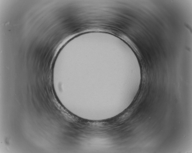 X0000102231004200808221303