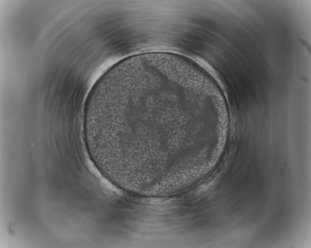 X0000102231005200808221303