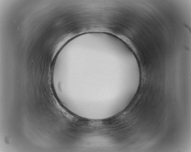 X0000102231006200808221303