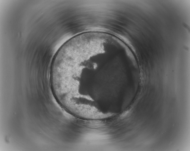 X0000102231007200808221303