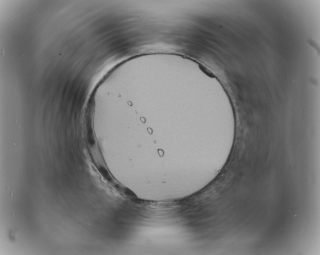 X0000102231008200808221303