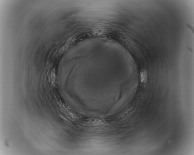 X0000102231011200808221303
