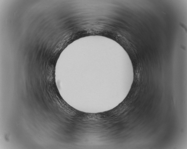 X0000102231012200808221303