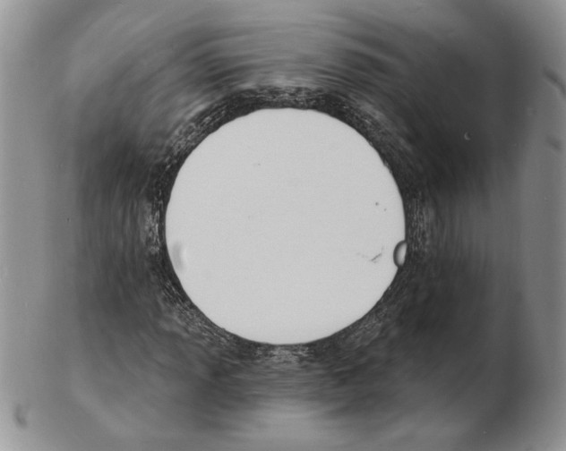 X0000102231013200808221303
