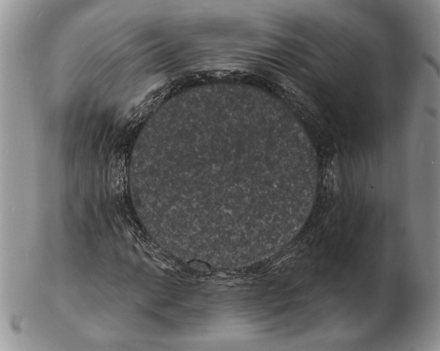 X0000102231014200808221303