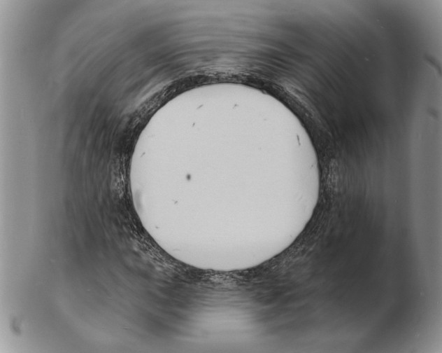 X0000102231015200808221303
